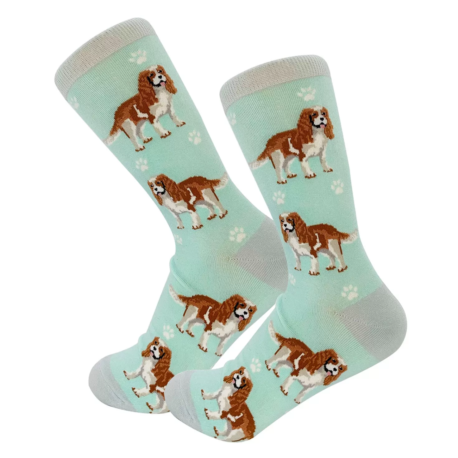 Cheap E&S Pets Cavalier King Charles Spaniel Novelty Crew Socks Congratulations