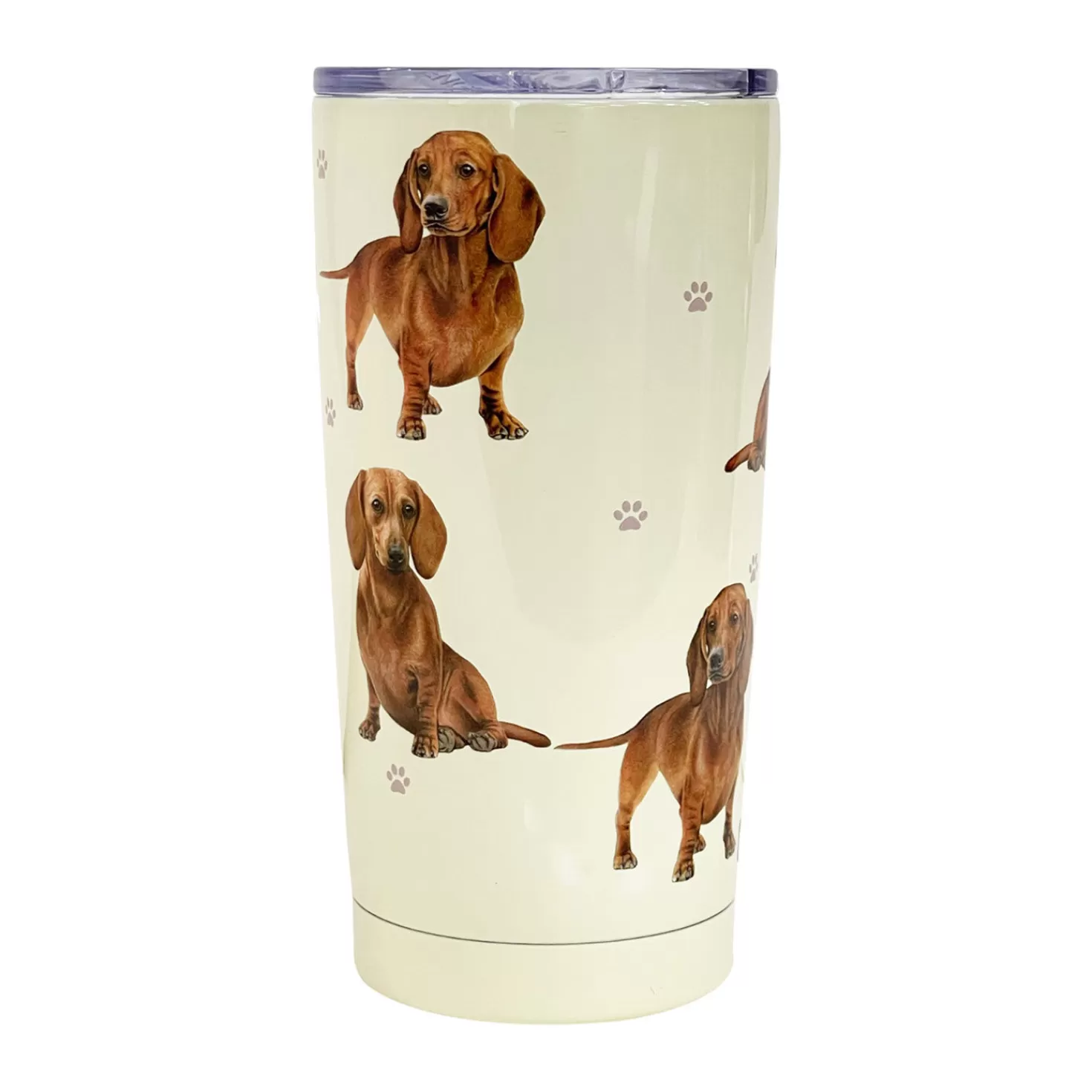 Shop E&S Pets Dachshund Stainless Steel Tumbler, 20 Oz. Congratulations