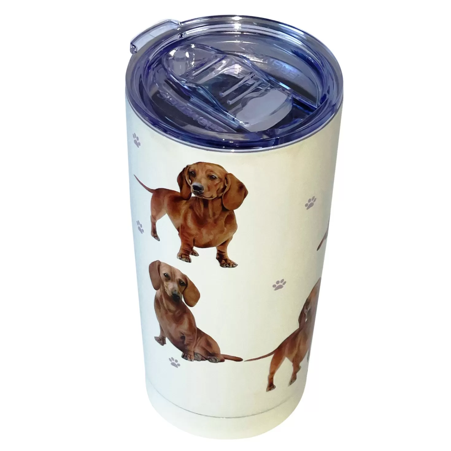 Shop E&S Pets Dachshund Stainless Steel Tumbler, 20 Oz. Congratulations