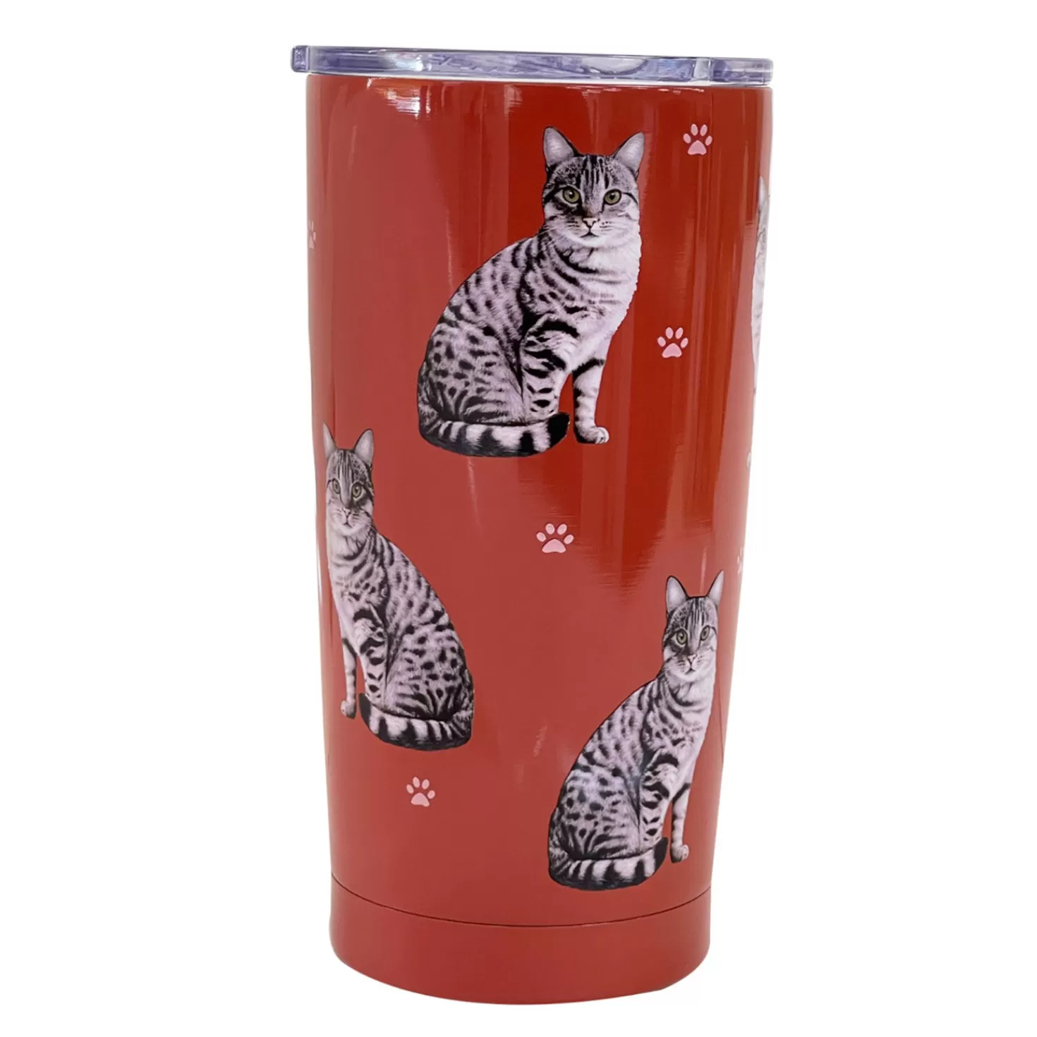 Shop E&S Pets Silver Tabby Cat Stainless Steel Tumbler, 20 Oz. Congratulations