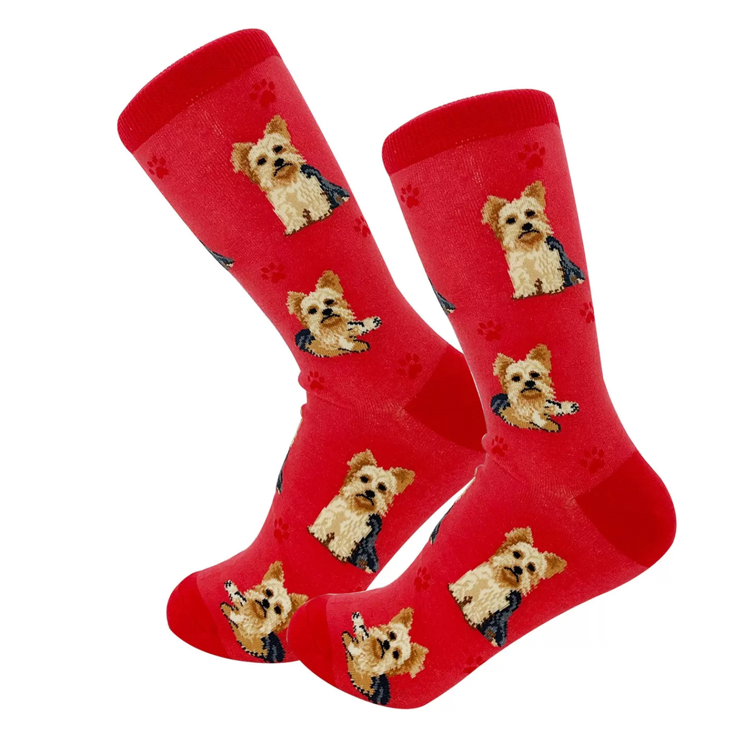Fashion E&S Pets Yorkshire Terrier Novelty Crew Socks Congratulations