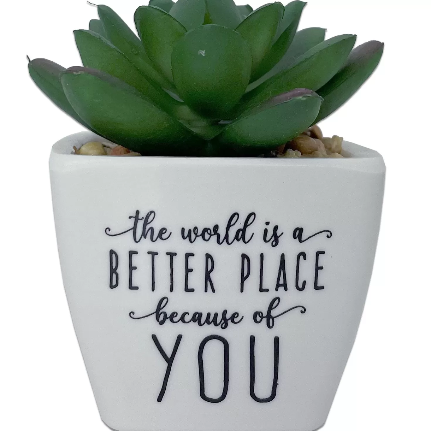 New Faux Potted Succulent With Complimentary Message Retirement