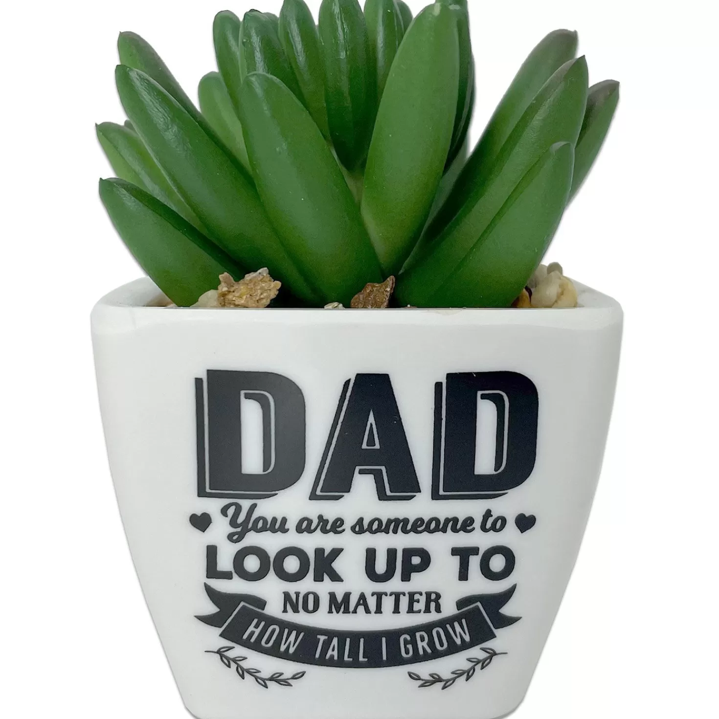 Outlet Faux Potted Succulent With Dad Message Encouragement