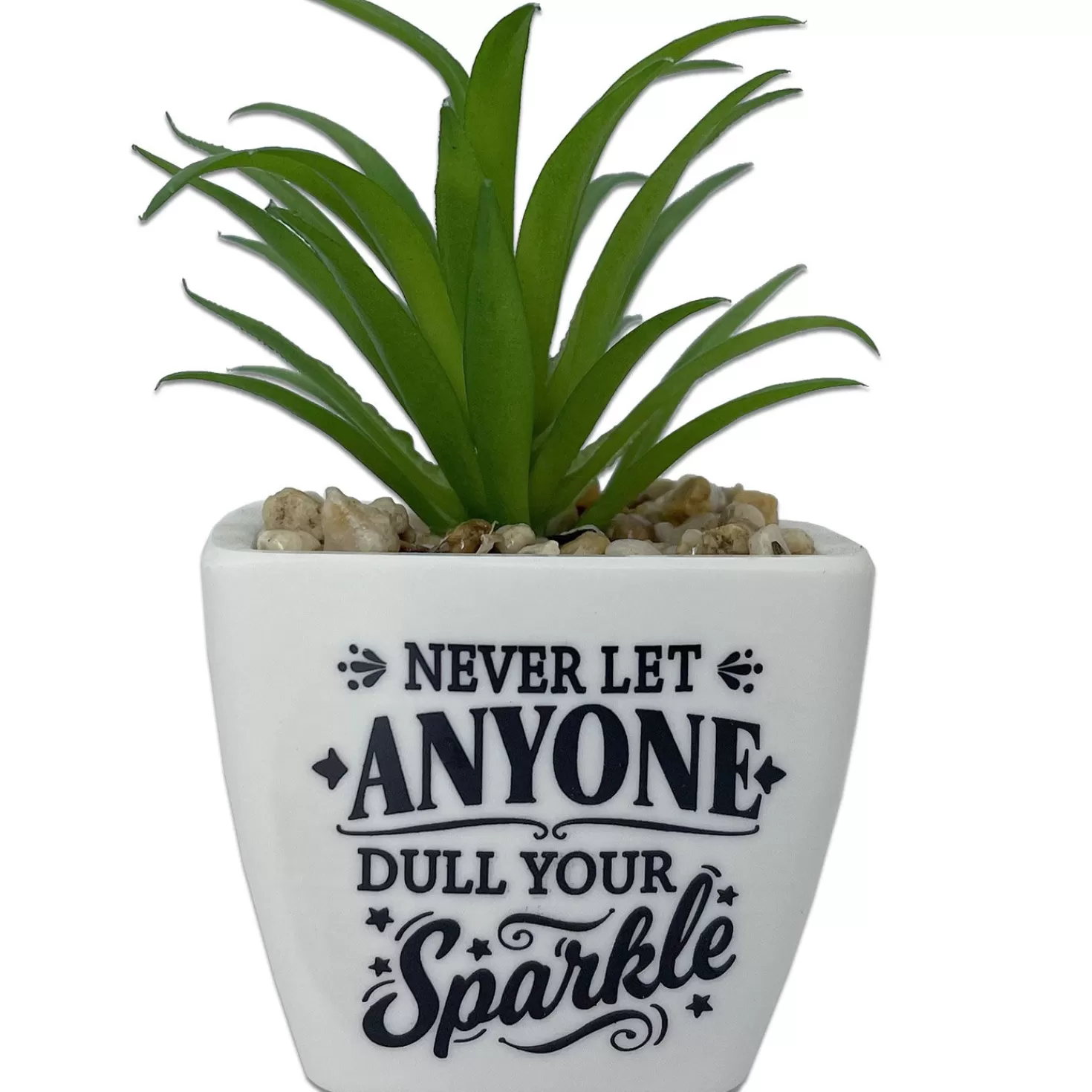 Sale Faux Potted Succulent With Encouraging Message Retirement