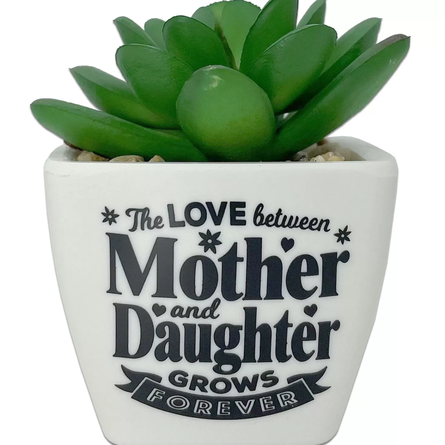 Online Faux Potted Succulent With Mom And Daughter Message Encouragement