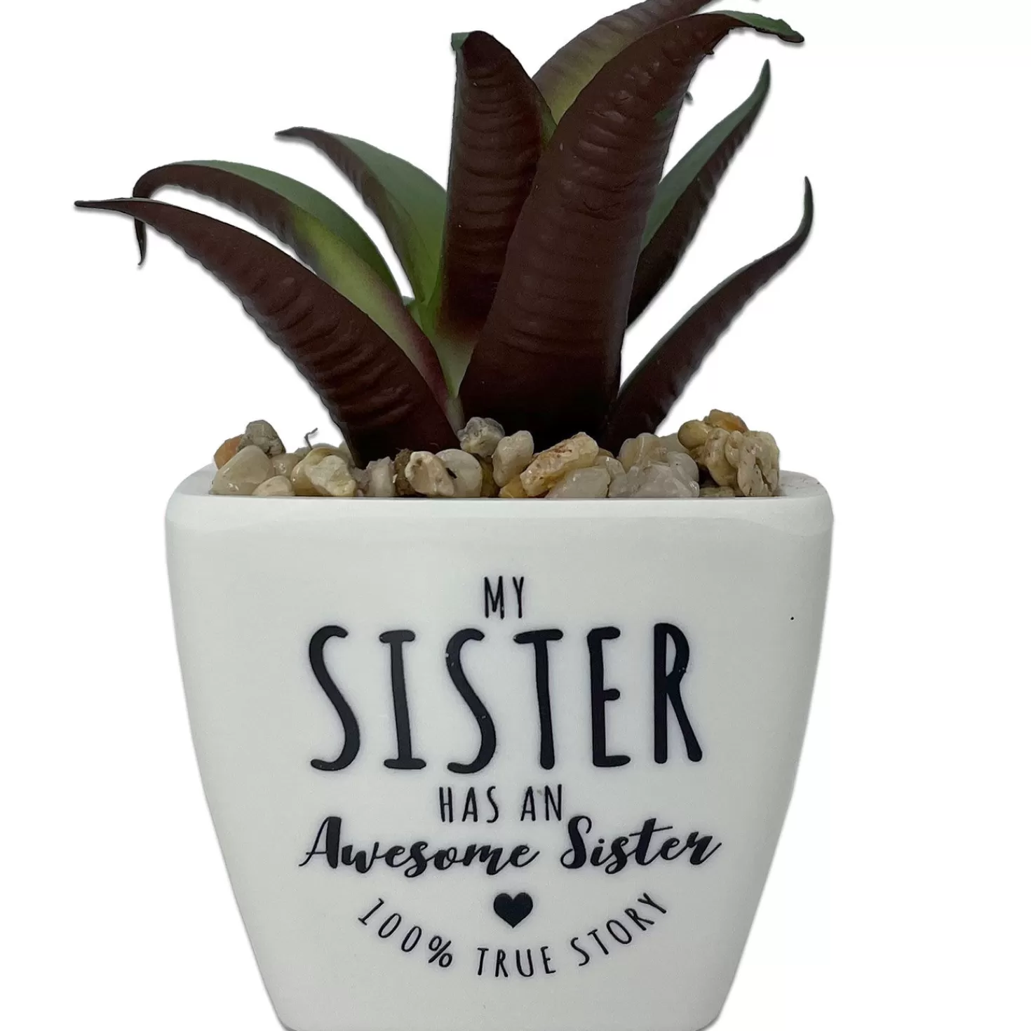 Best Faux Potted Succulent With Sister Message Encouragement