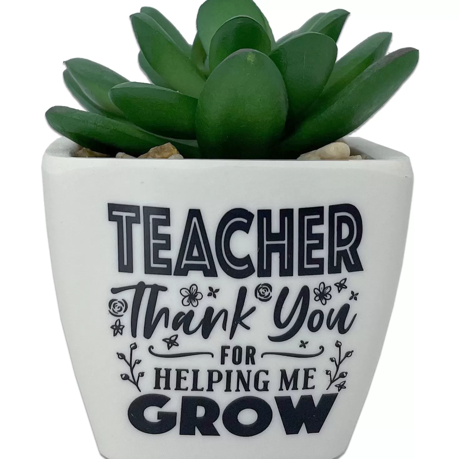Fashion Faux Potted Succulent With Teacher Message Teacher Appreciation