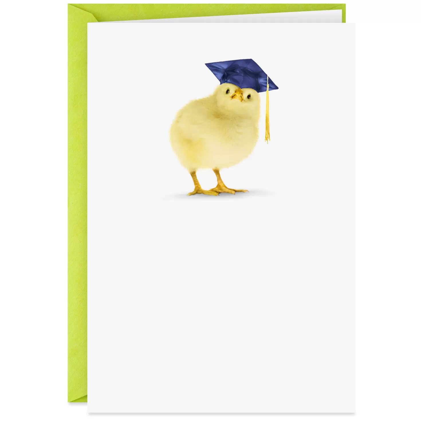 Store Favorite Peeps Funny Graduation Card Graduation