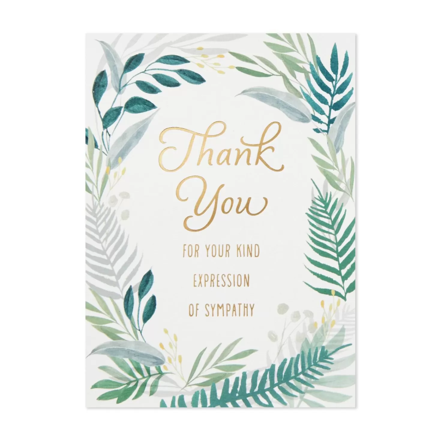 Shop Fern Border Blank Sympathy Thank You Notes, Box Of 20 Thank You