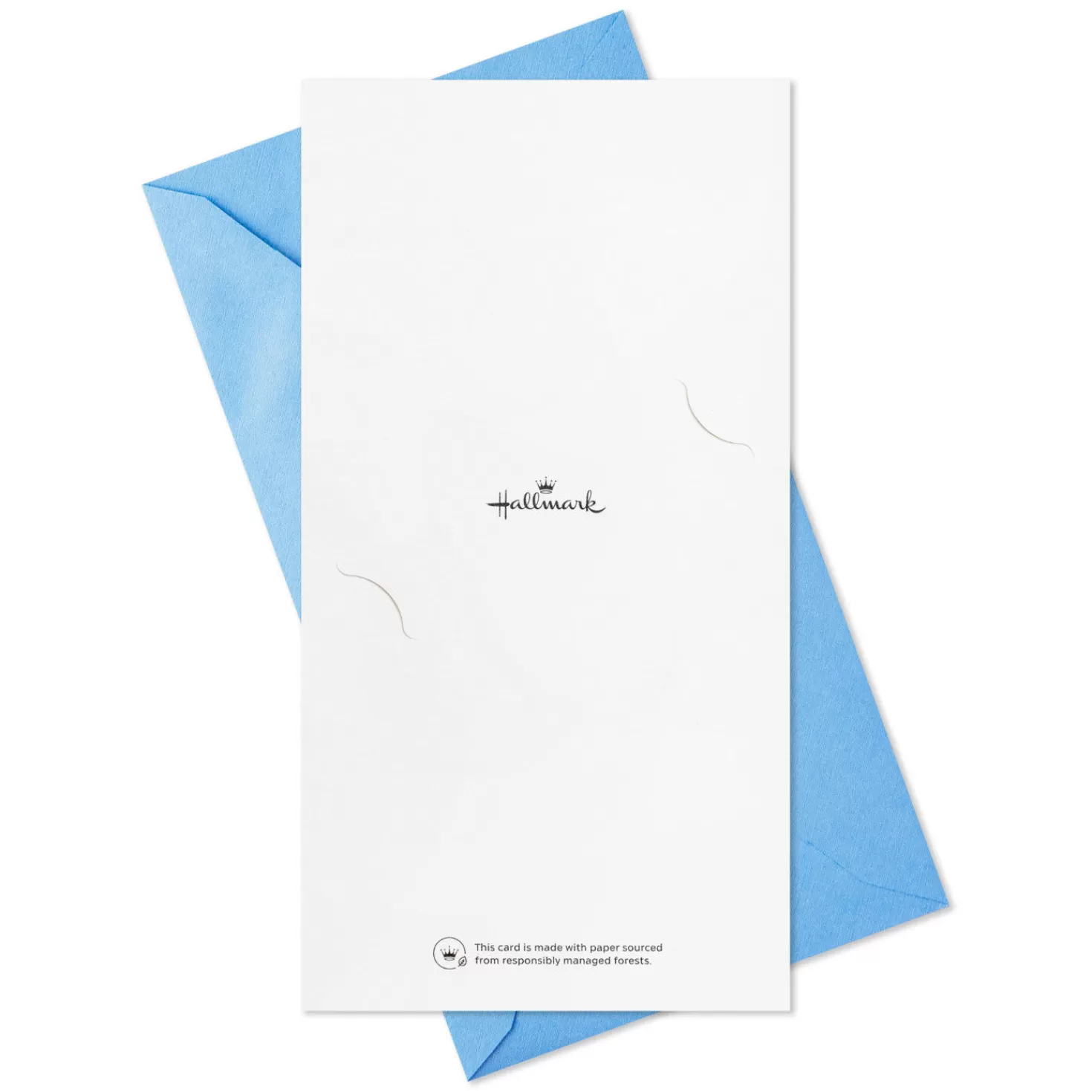 Best Festive Grad Wishes Graduation Cards Assortment, Pack Of 36 Graduation