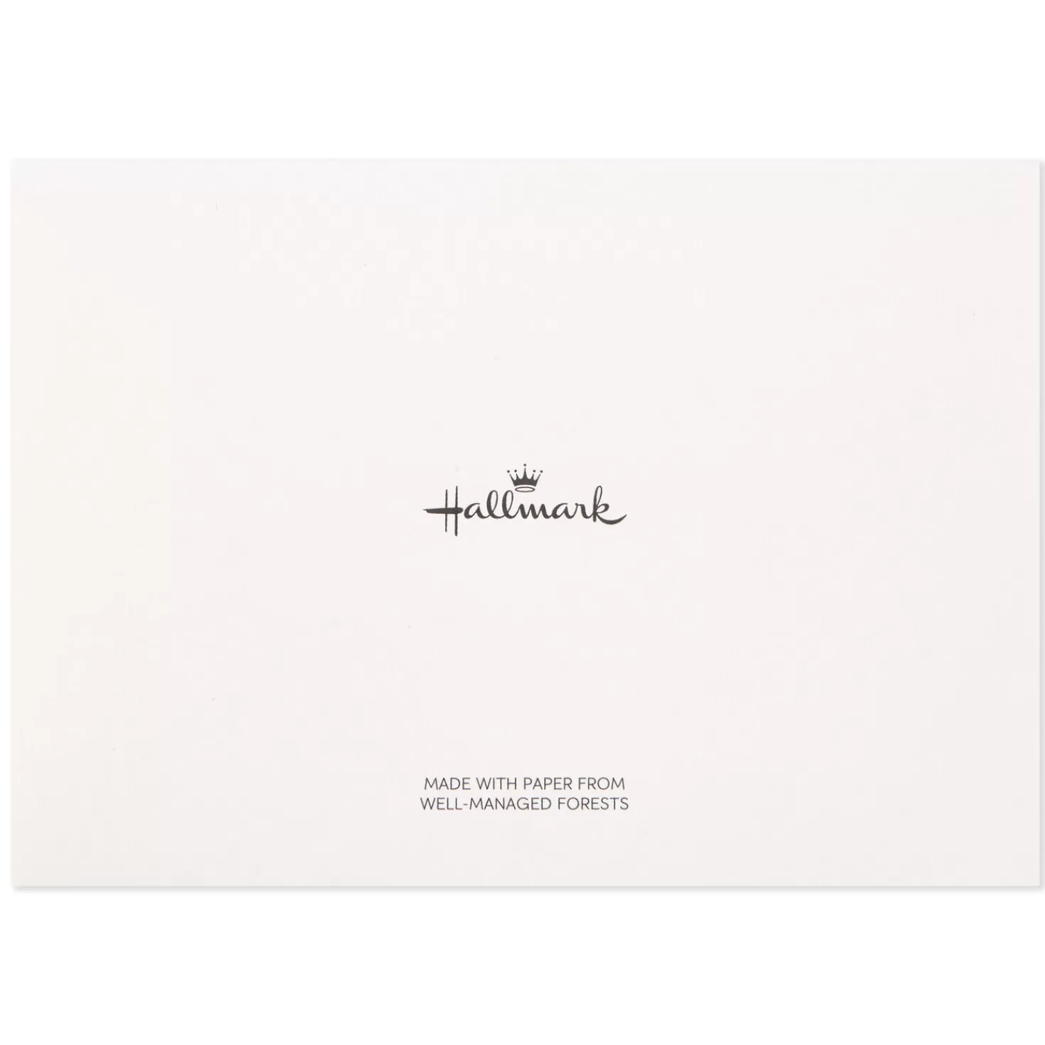 New Flowers And Dots Assorted Blank Note Cards, Box Of 50 Thank You