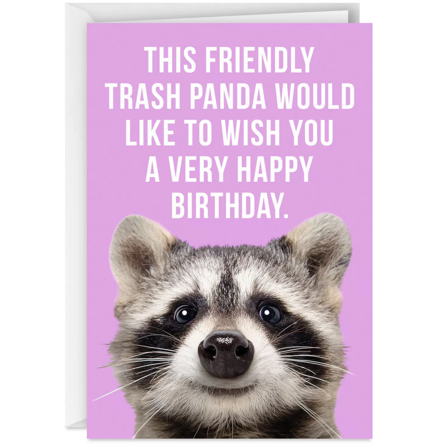 Birthday>Hallmark Friendly Trash Panda Funny Birthday Card