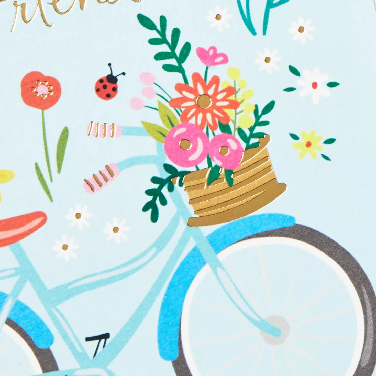 Birthday>Hallmark Fun And Floral Boxed Birthday Cards Assortment, Pack Of 16