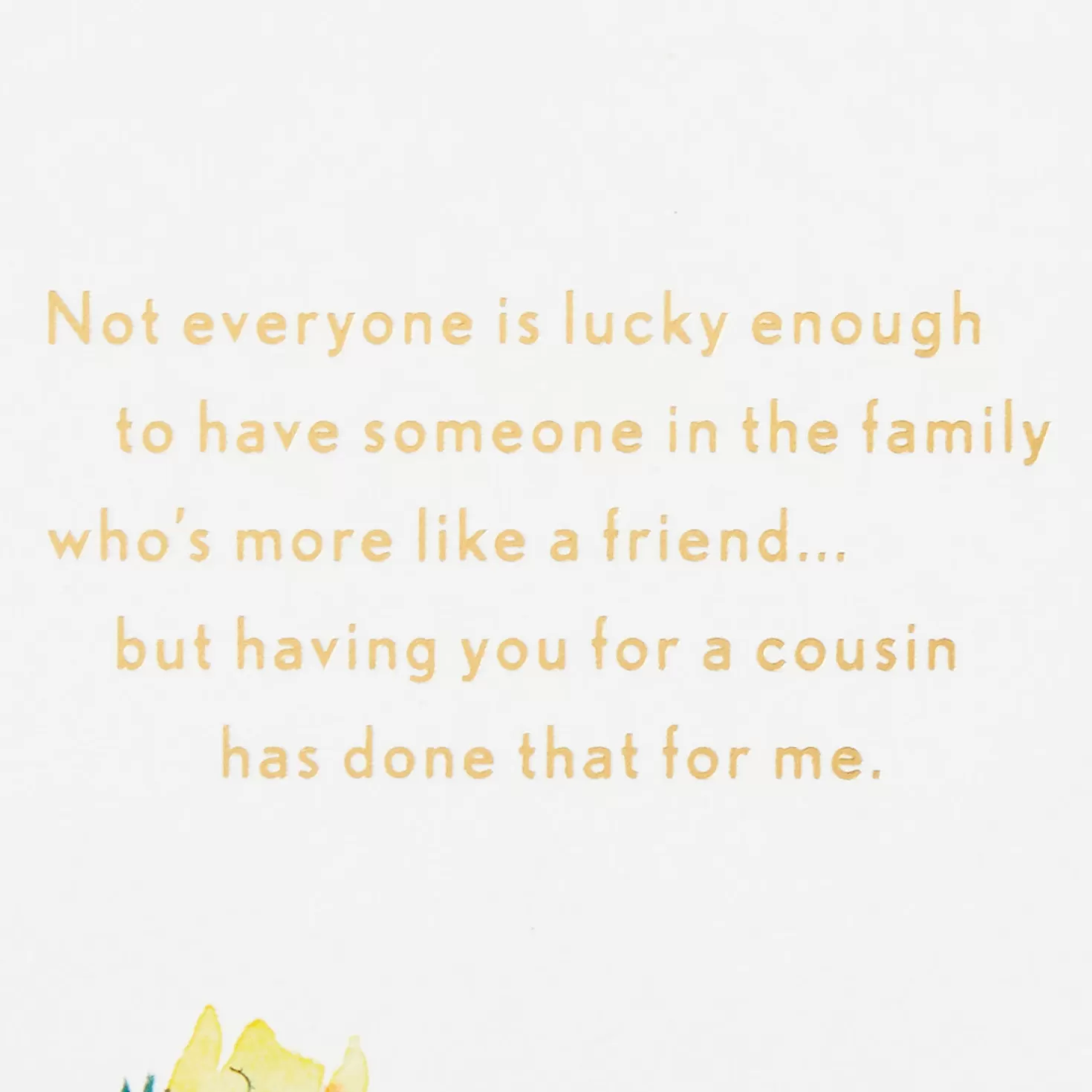 Birthday>Hallmark Fun And Friendship Birthday Card For Cousin