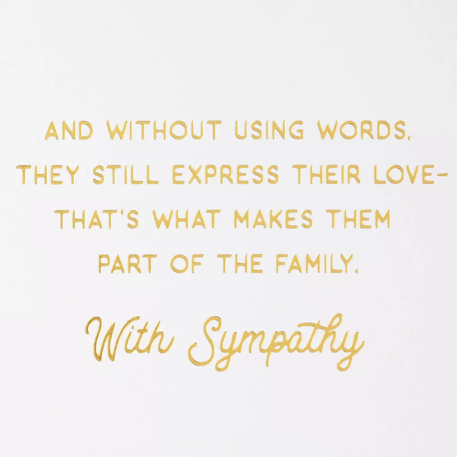 Cheap Furry Friends Forever In Our Hearts Sympathy Card For Loss Of Pet Sympathy