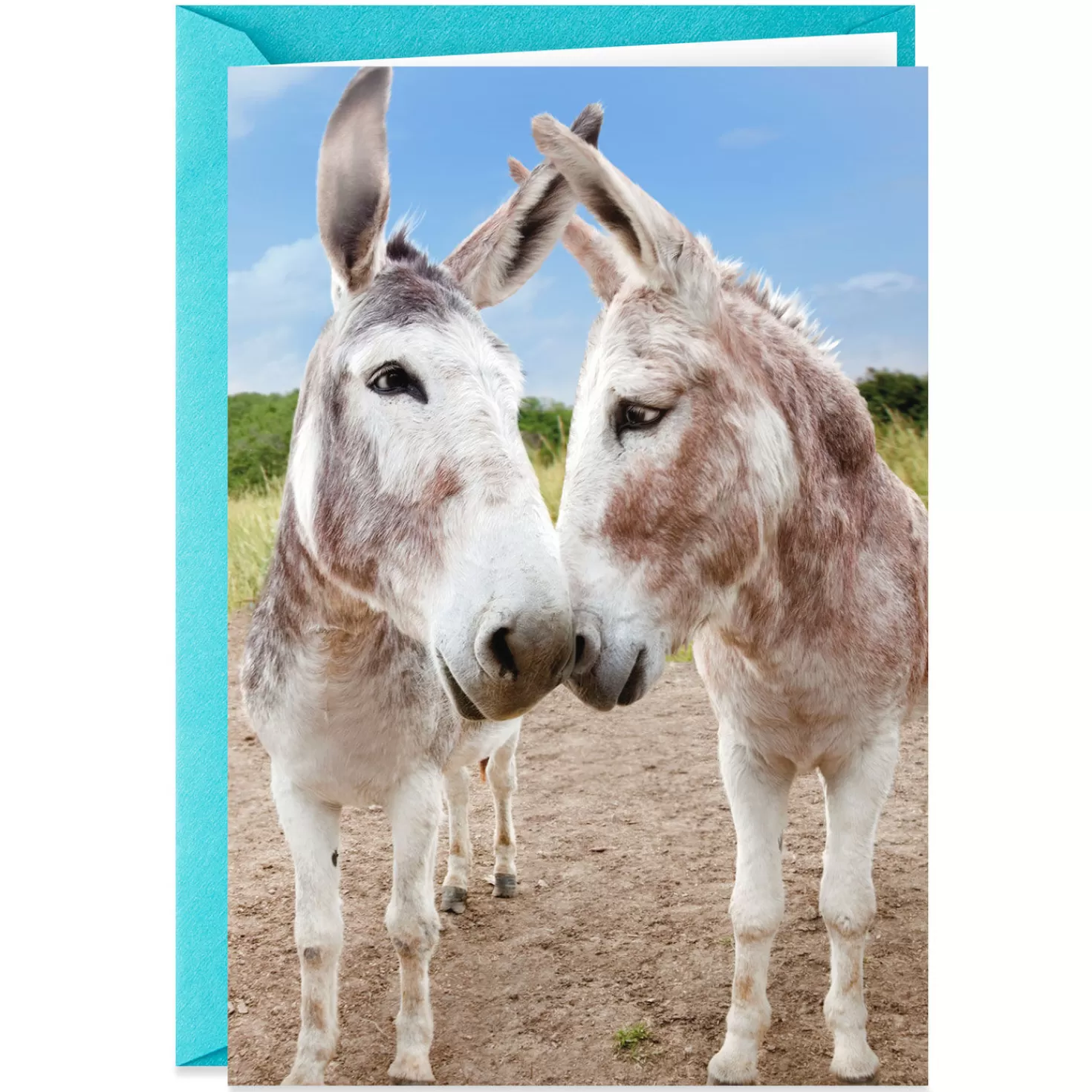 Anniversary>Hallmark Glad Your Ass Is Still Mine Funny Anniversary Card
