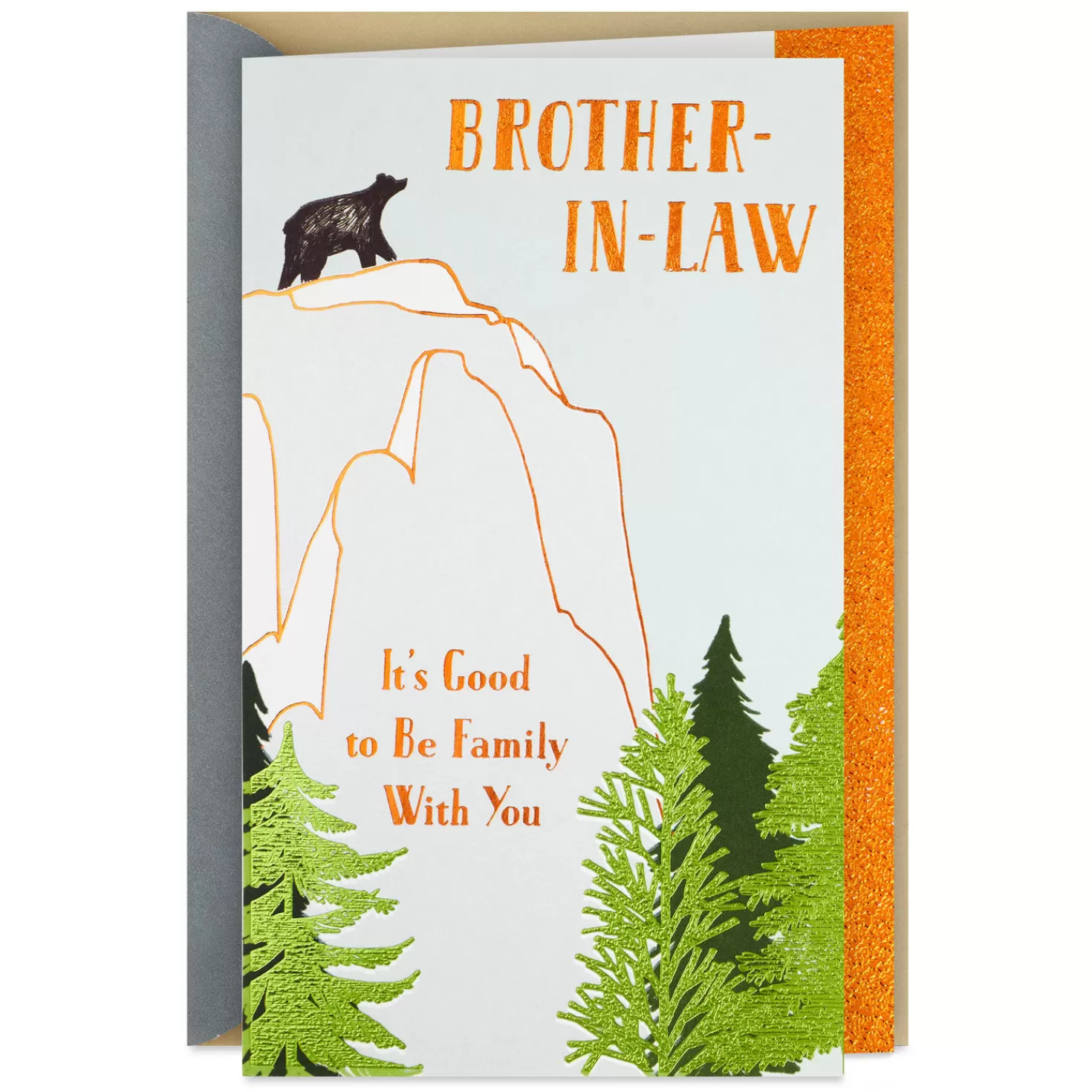 Birthday>Hallmark Good To Be Family With You Birthday Card For Brother-In-Law