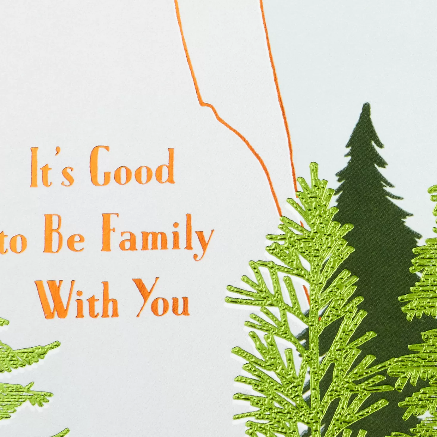 Birthday>Hallmark Good To Be Family With You Birthday Card For Brother-In-Law
