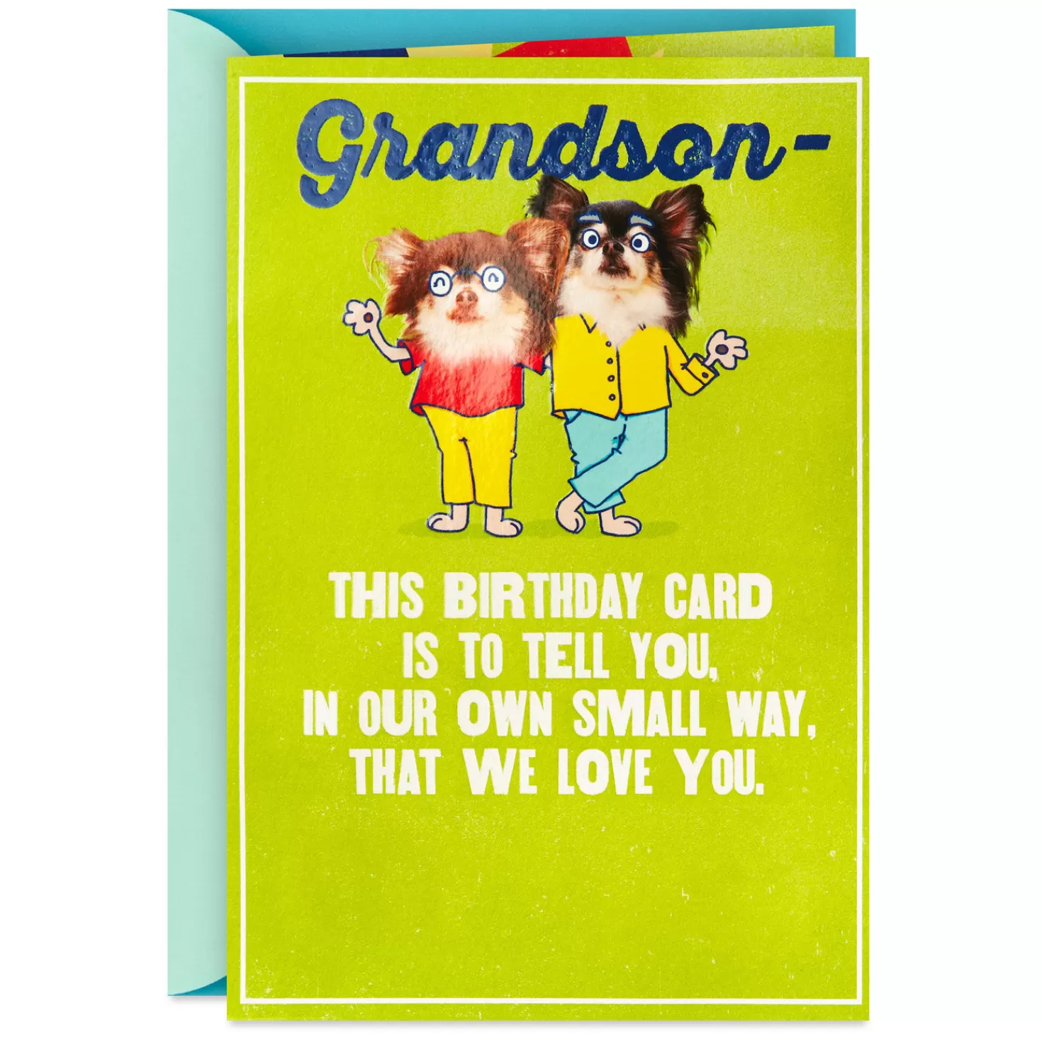 Birthday>Hallmark Grandson, We Love You Funny Pop-Up Birthday Card