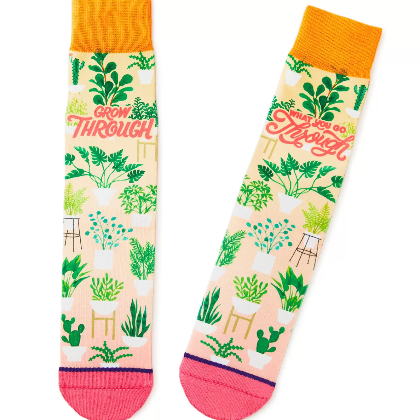 Clearance Grow Through Plants Fun Crew Socks Encouragement