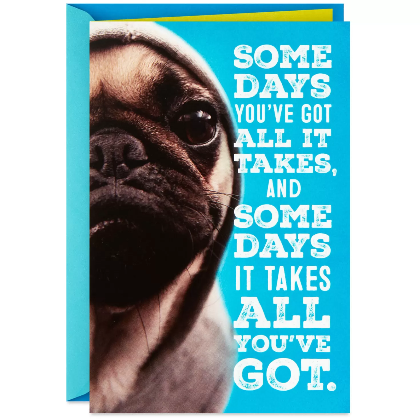 Online Hang In There Dog In Hoodie Encouragement Card Encouragement