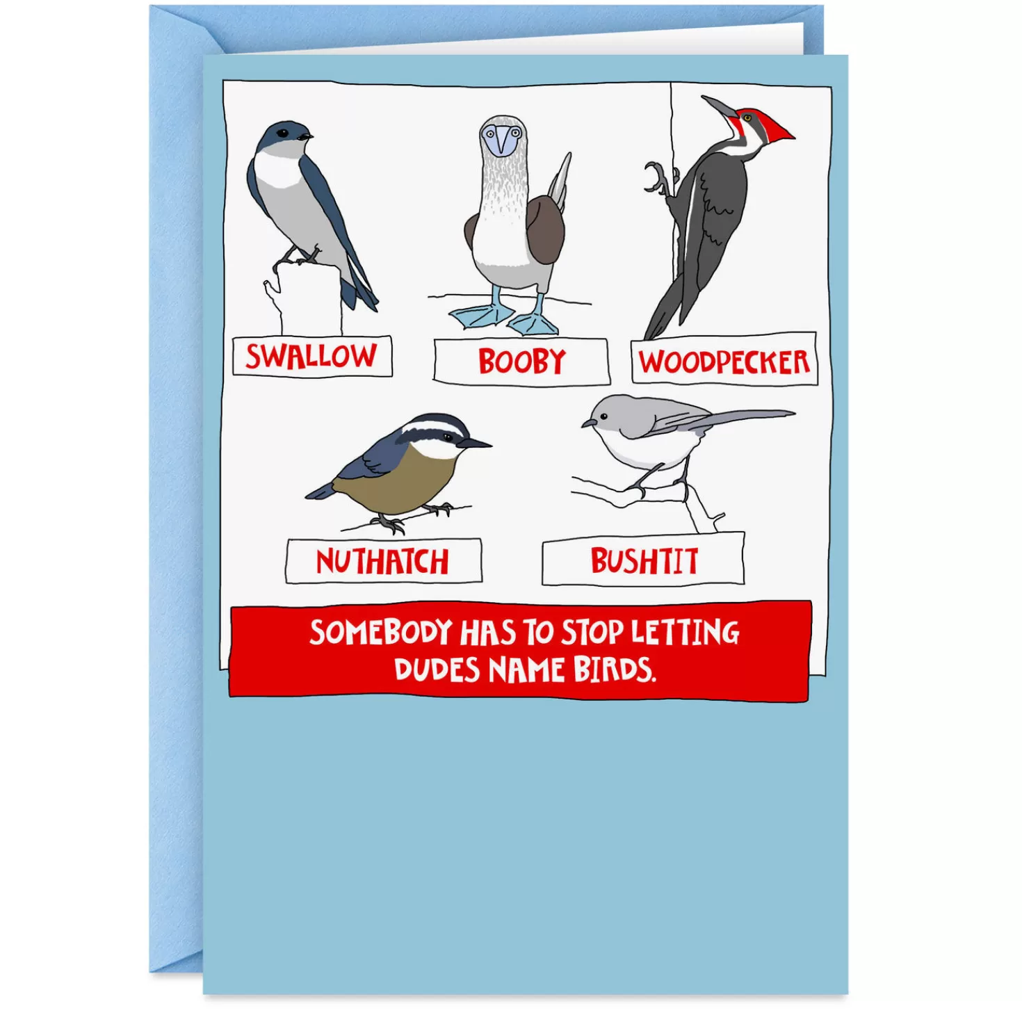 Birthday>Hallmark Happy Bird-Day Funny Birthday Card