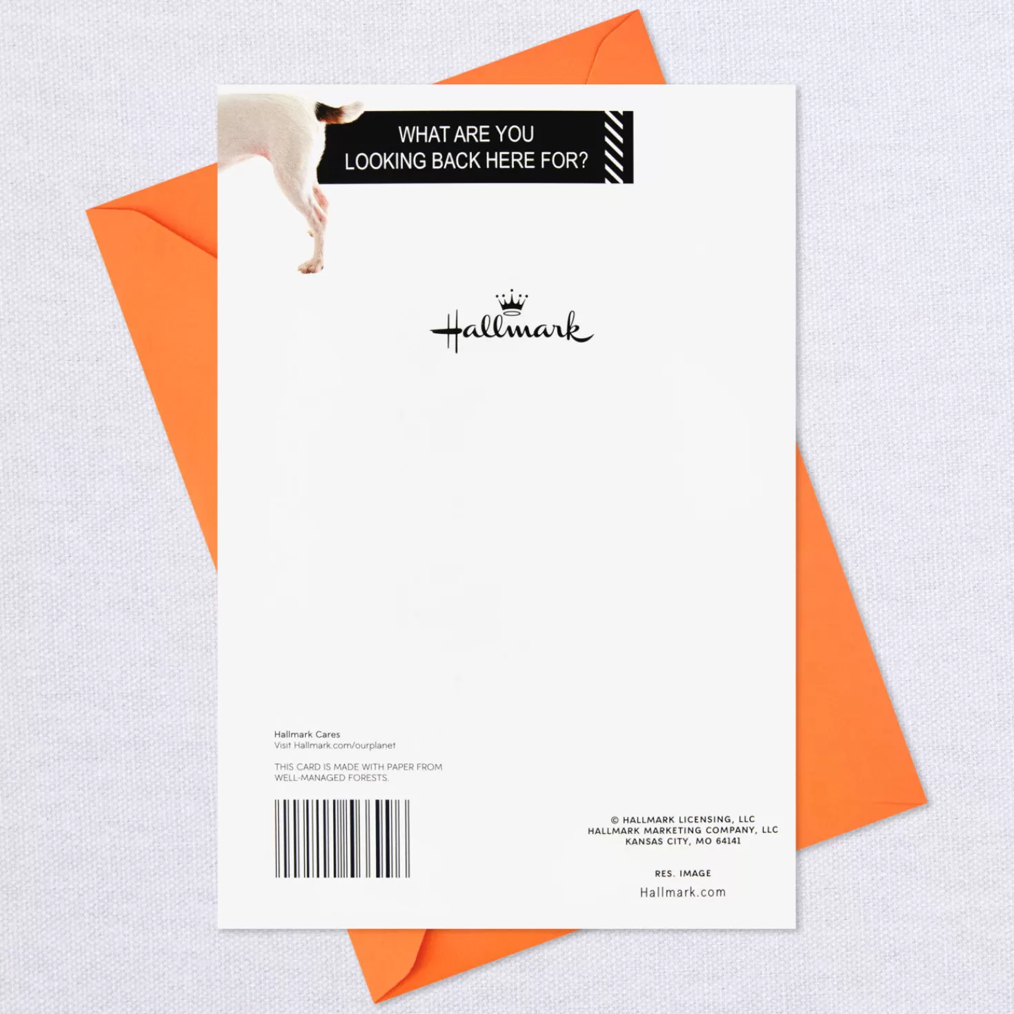 Birthday>Hallmark Happy From The A.M. To The B.M. Funny Pop-Up Birthday Card