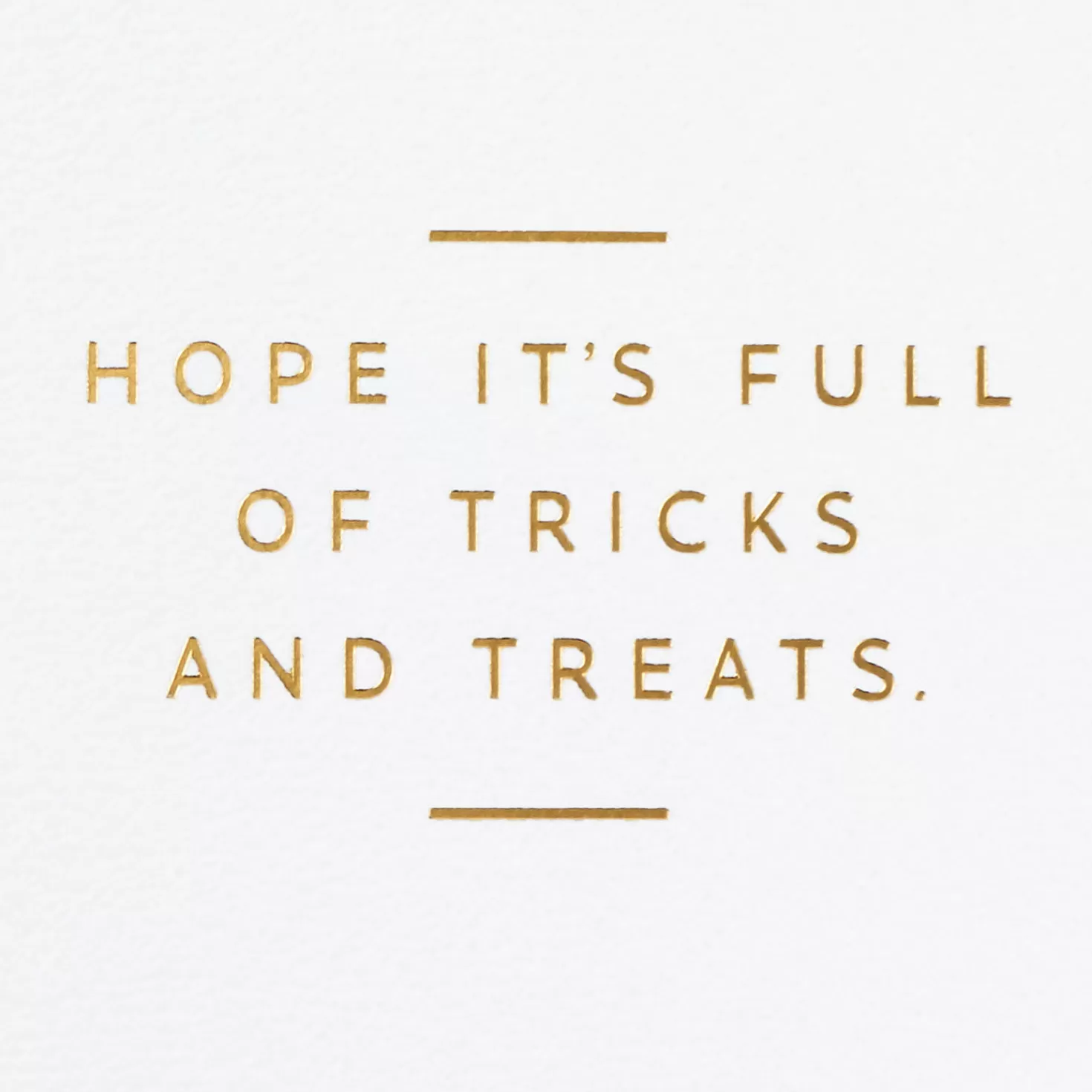 Halloween (10/31)>Hallmark Happy Halloween Spiderweb Halloween Card