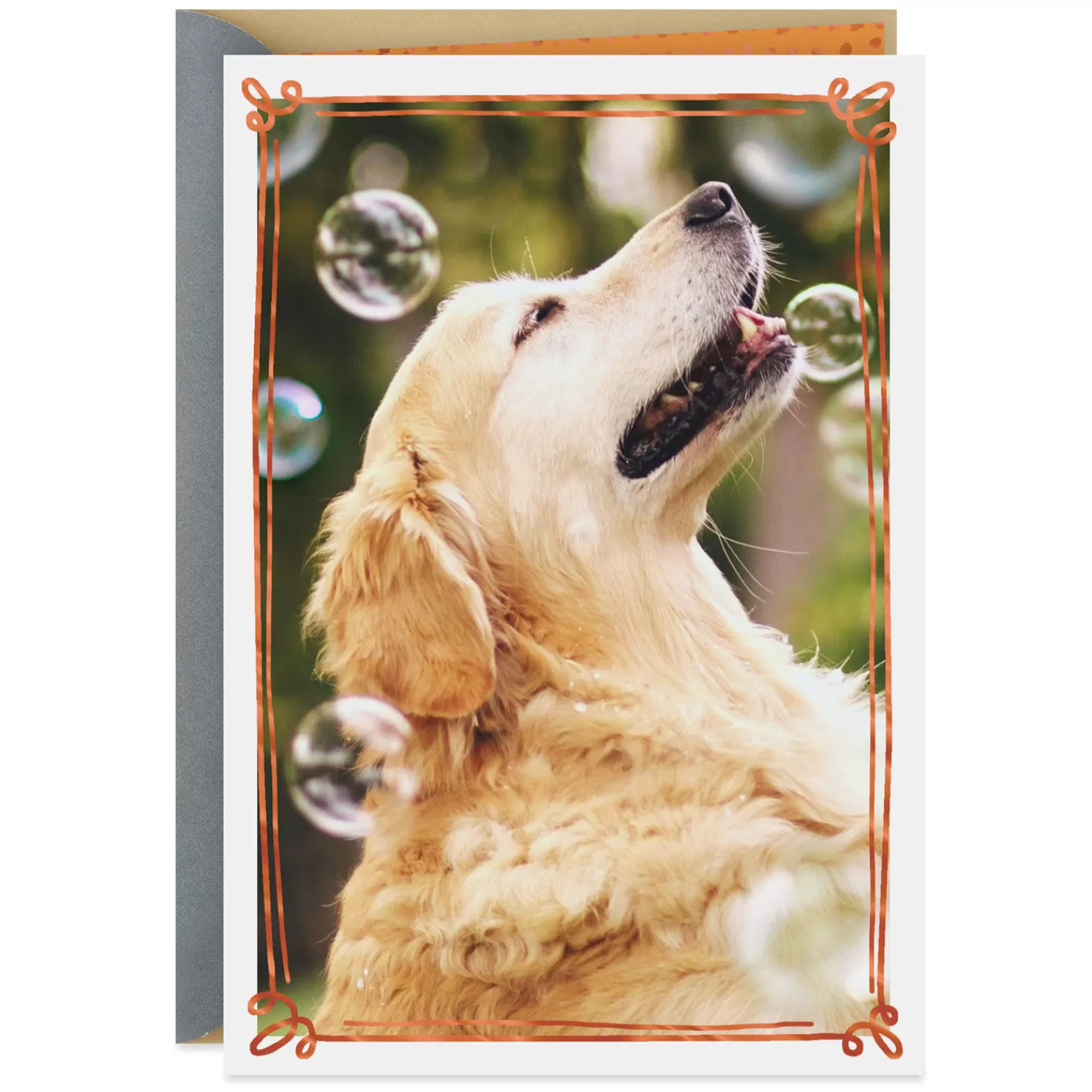 Cheap Happy Thoughts Dog With Bubbles Encouragement Card Encouragement