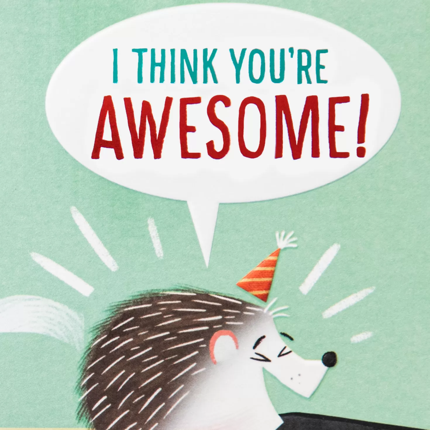 Birthday>Hallmark I Think You'Re Awesome Funny Birthday Card