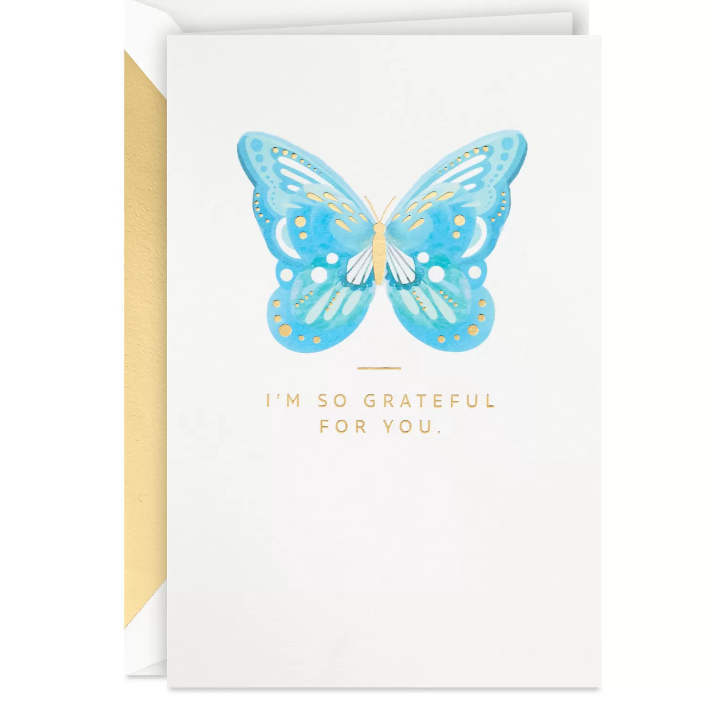 Birthday>Hallmark I'M So Grateful For You Birthday Card