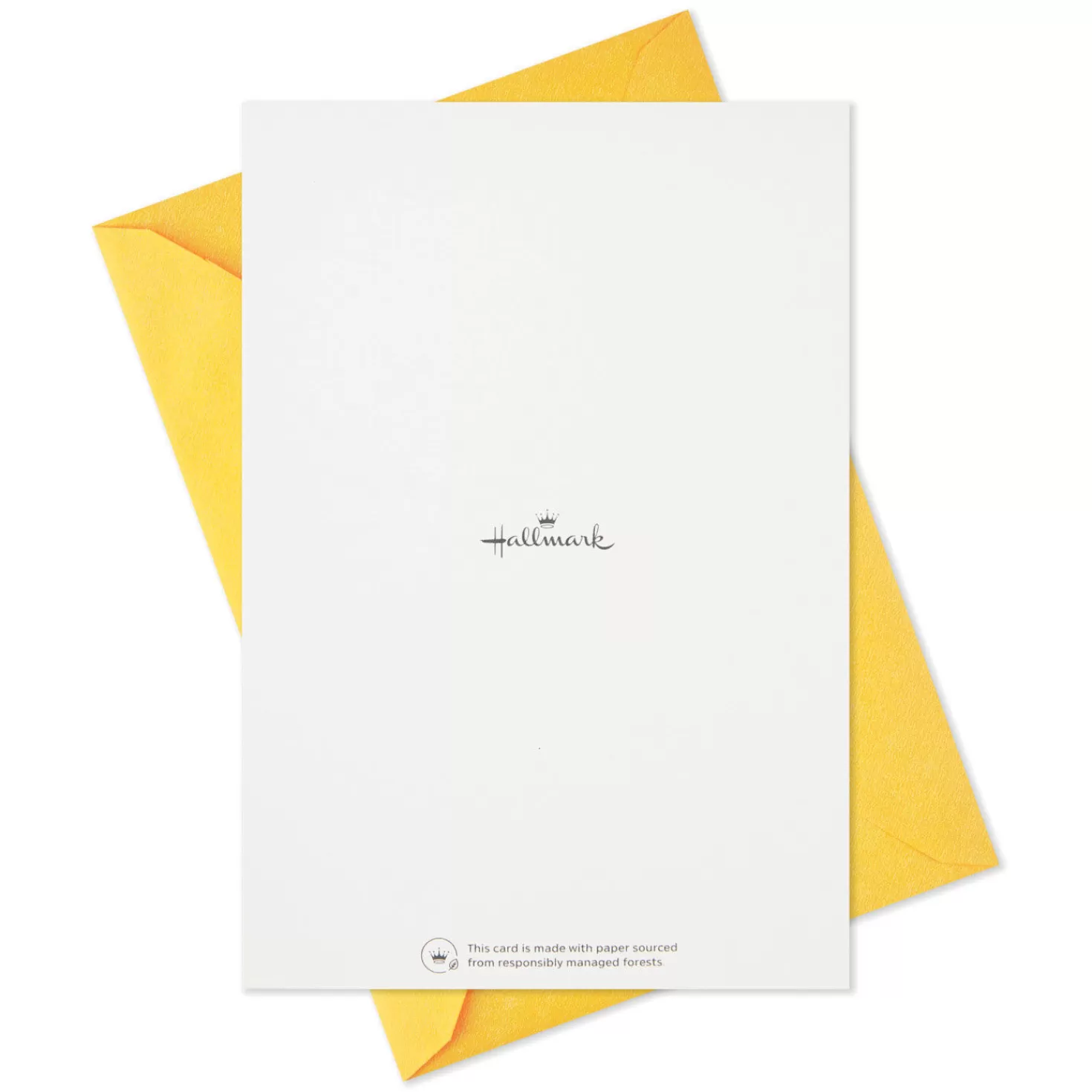 Birthday>Hallmark Iridescent Birthday Icons Assortment Birthday Cards, Pack Of 16