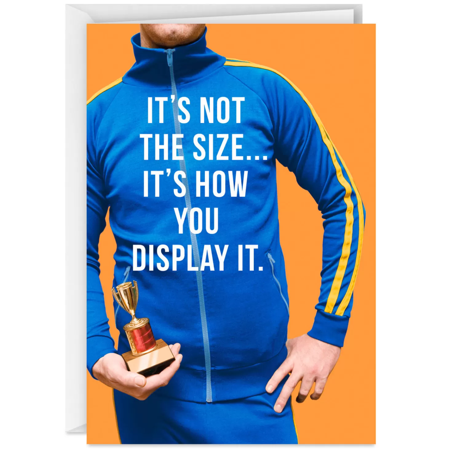 Birthday>Hallmark It's Not The Size Funny Birthday Card