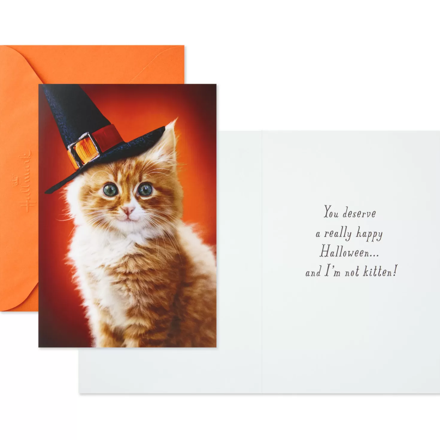 Halloween (10/31)>Hallmark Jack-O'-Lanterns And Witches Assorted Halloween Cards, Pack Of 8