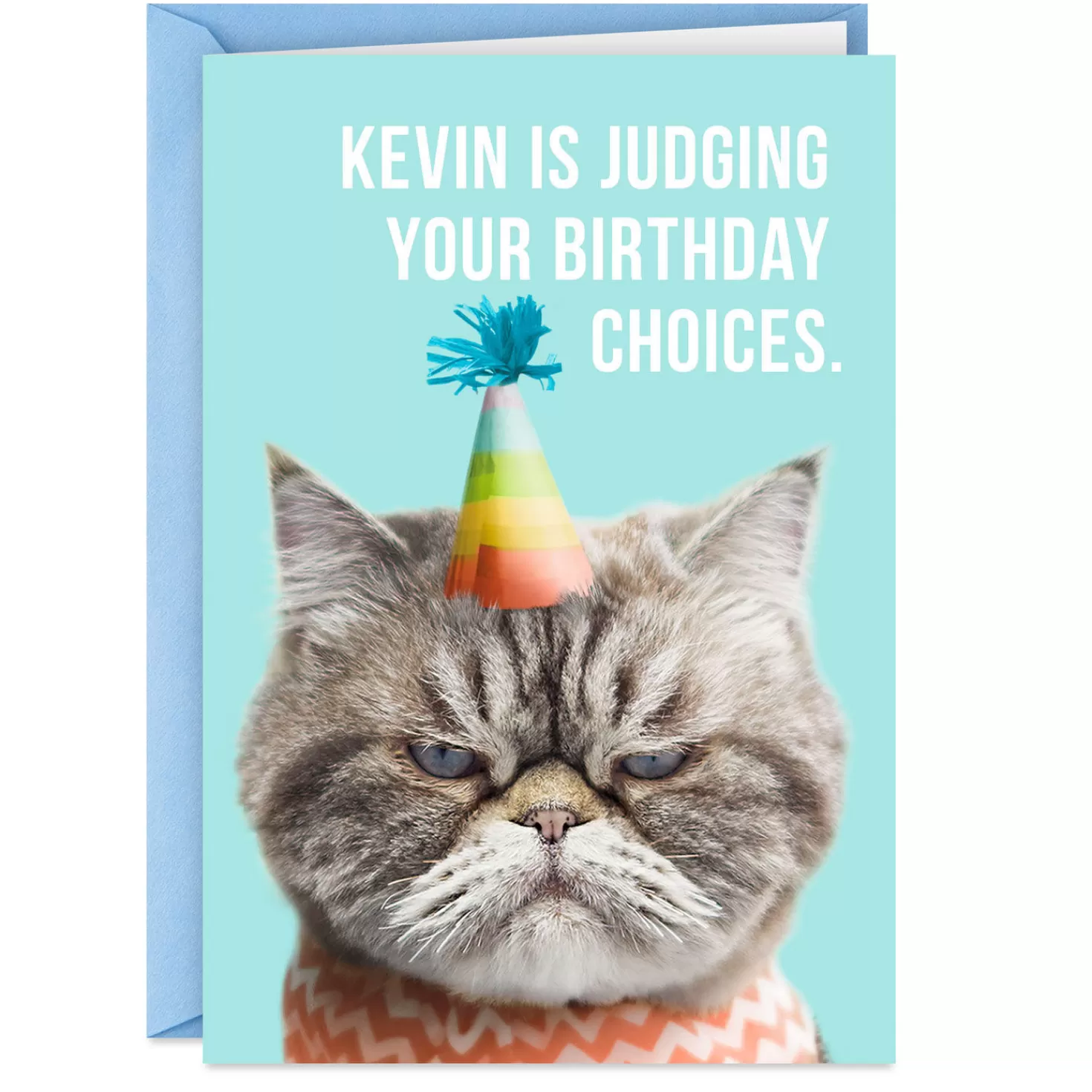 Birthday>Hallmark Judgmental Cat Funny Birthday Card