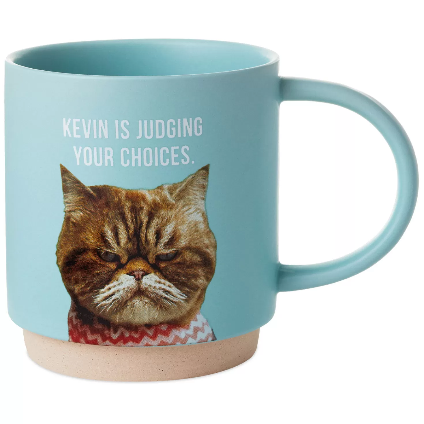 Clearance Judgmental Cat Funny Mug, 16 Oz. Congratulations