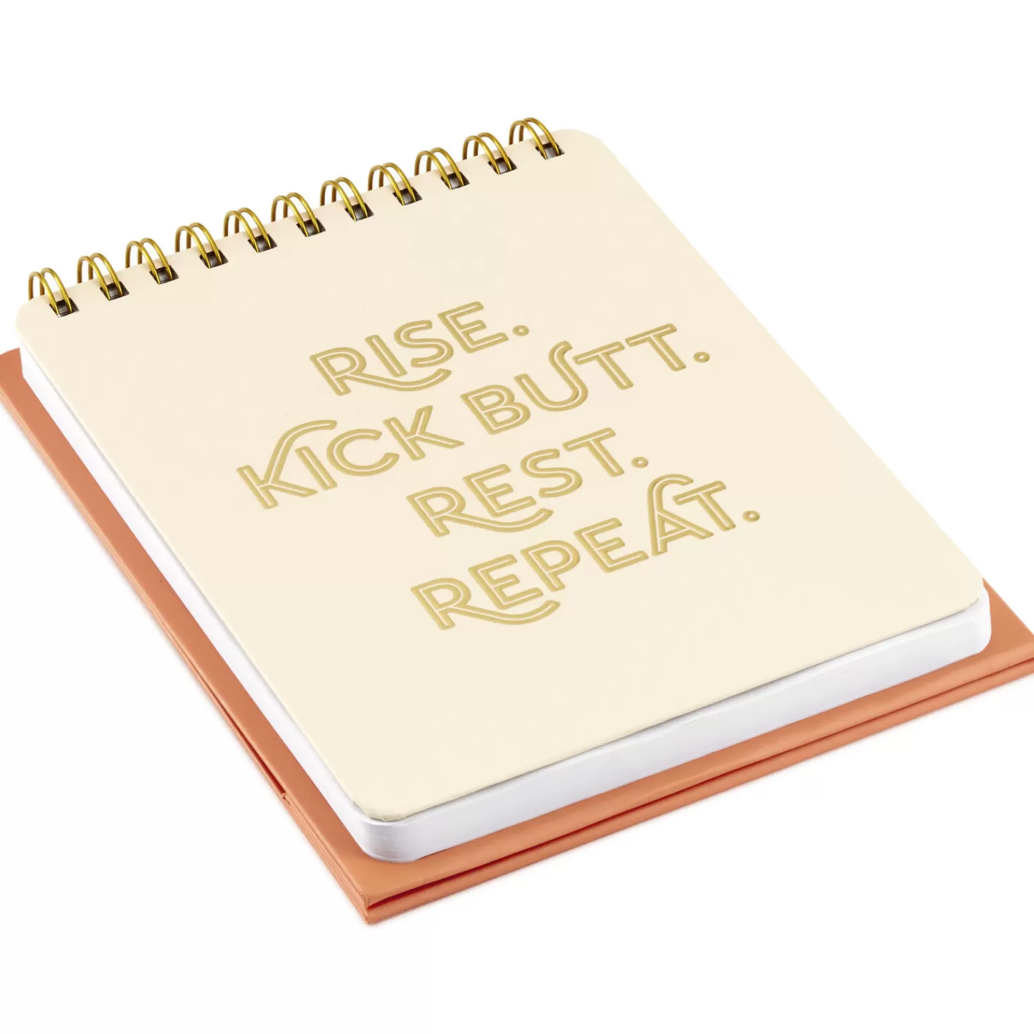 Online Kick Butt, Repeat Easel Notebook Encouragement