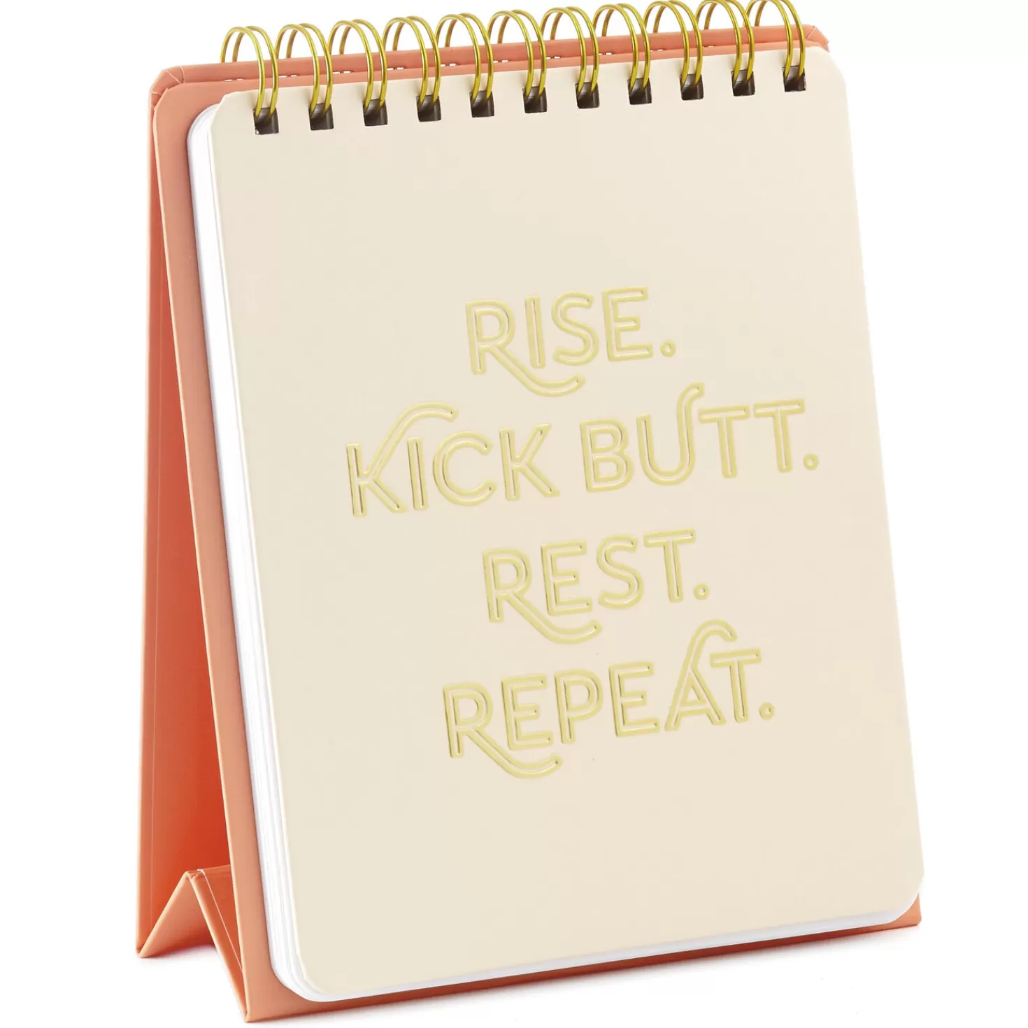 Online Kick Butt, Repeat Easel Notebook Encouragement