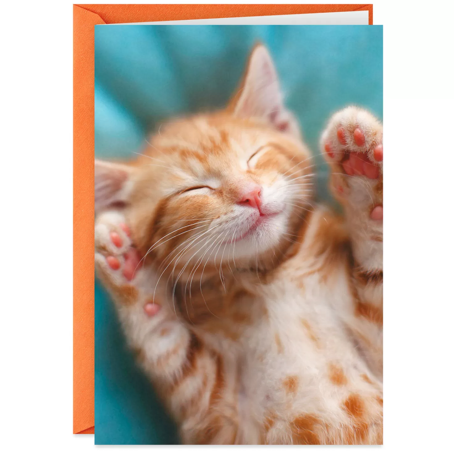 Fashion Kitten With To-Do List Get Well Card Get Well