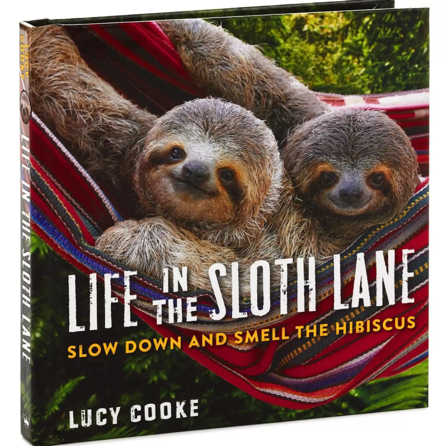 Flash Sale Life In The Sloth Lane: Slow Down And Smell The Hibiscus Book Encouragement