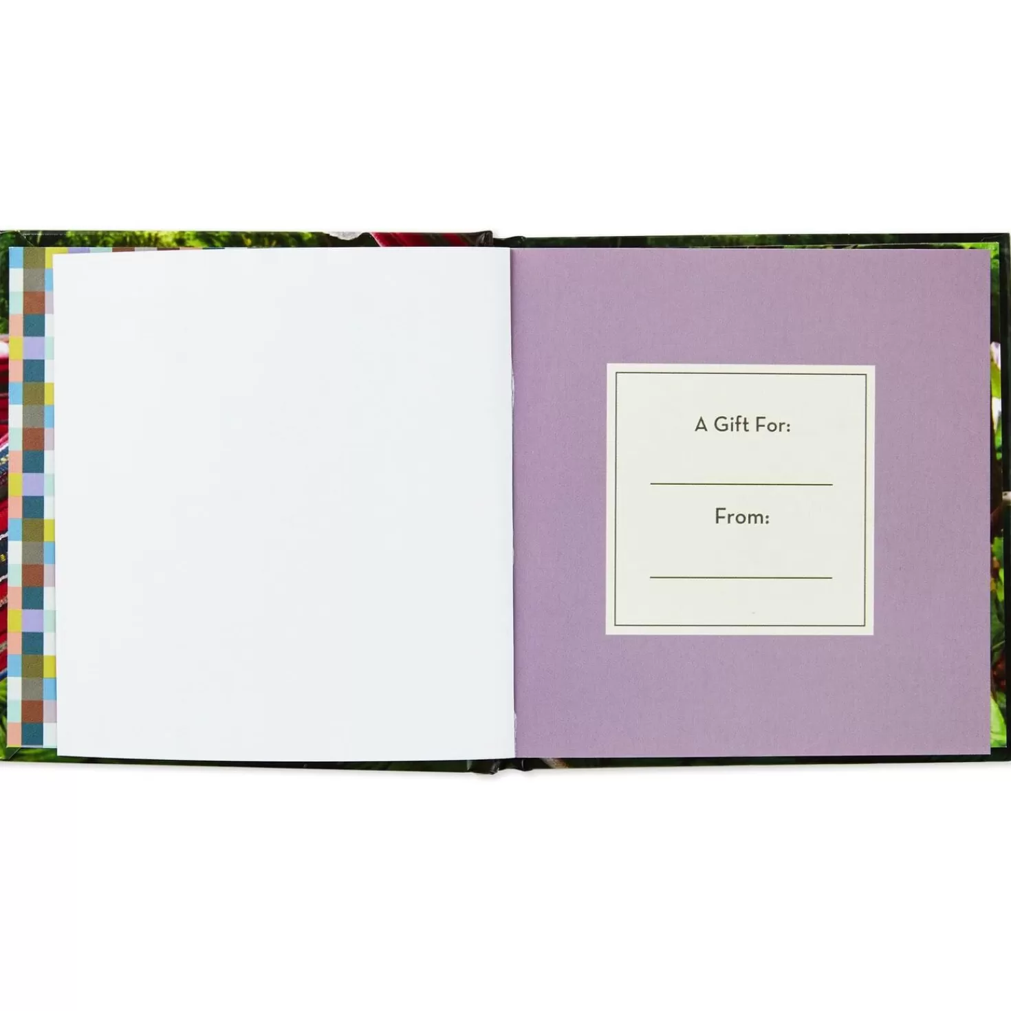 Flash Sale Life In The Sloth Lane: Slow Down And Smell The Hibiscus Book Encouragement