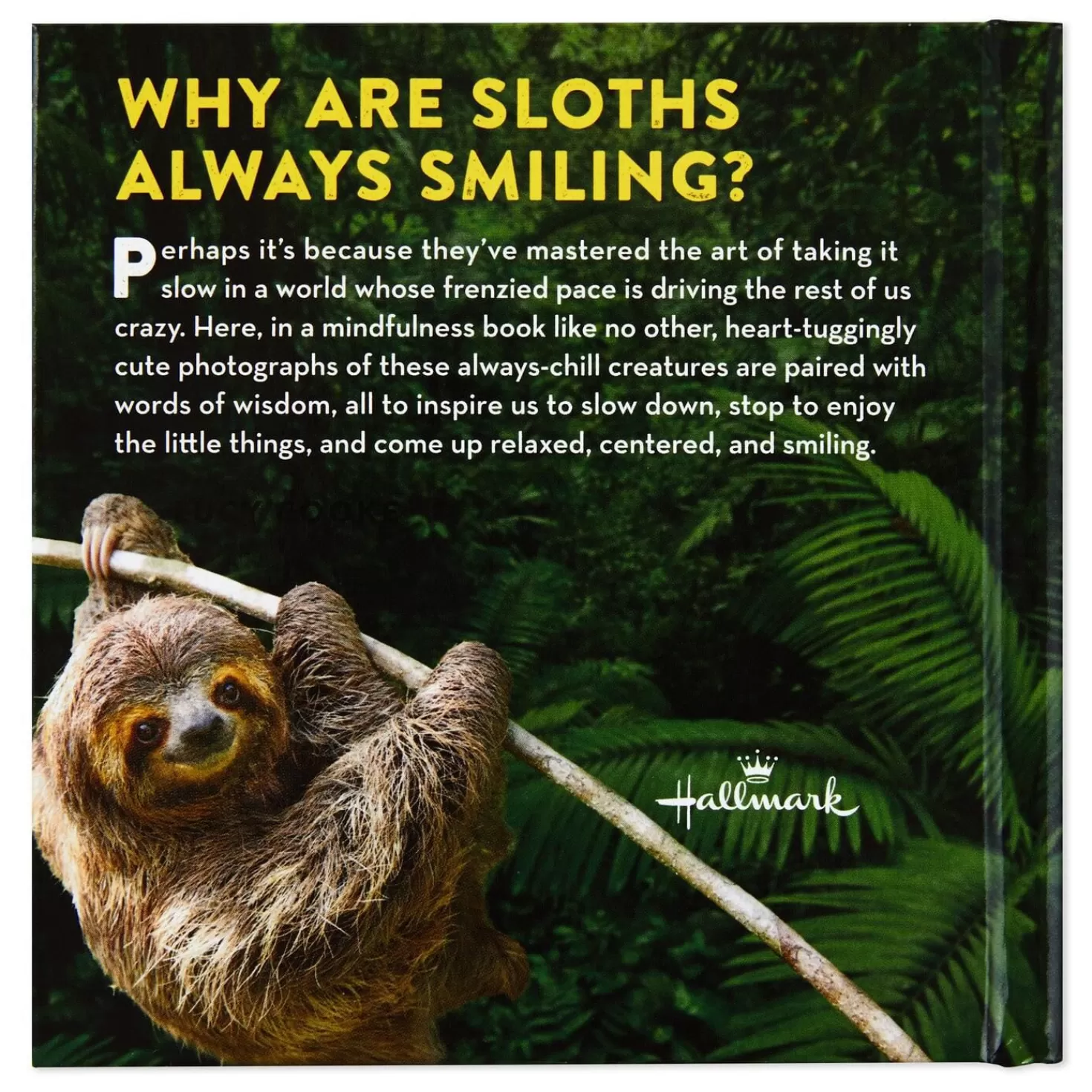 Flash Sale Life In The Sloth Lane: Slow Down And Smell The Hibiscus Book Encouragement