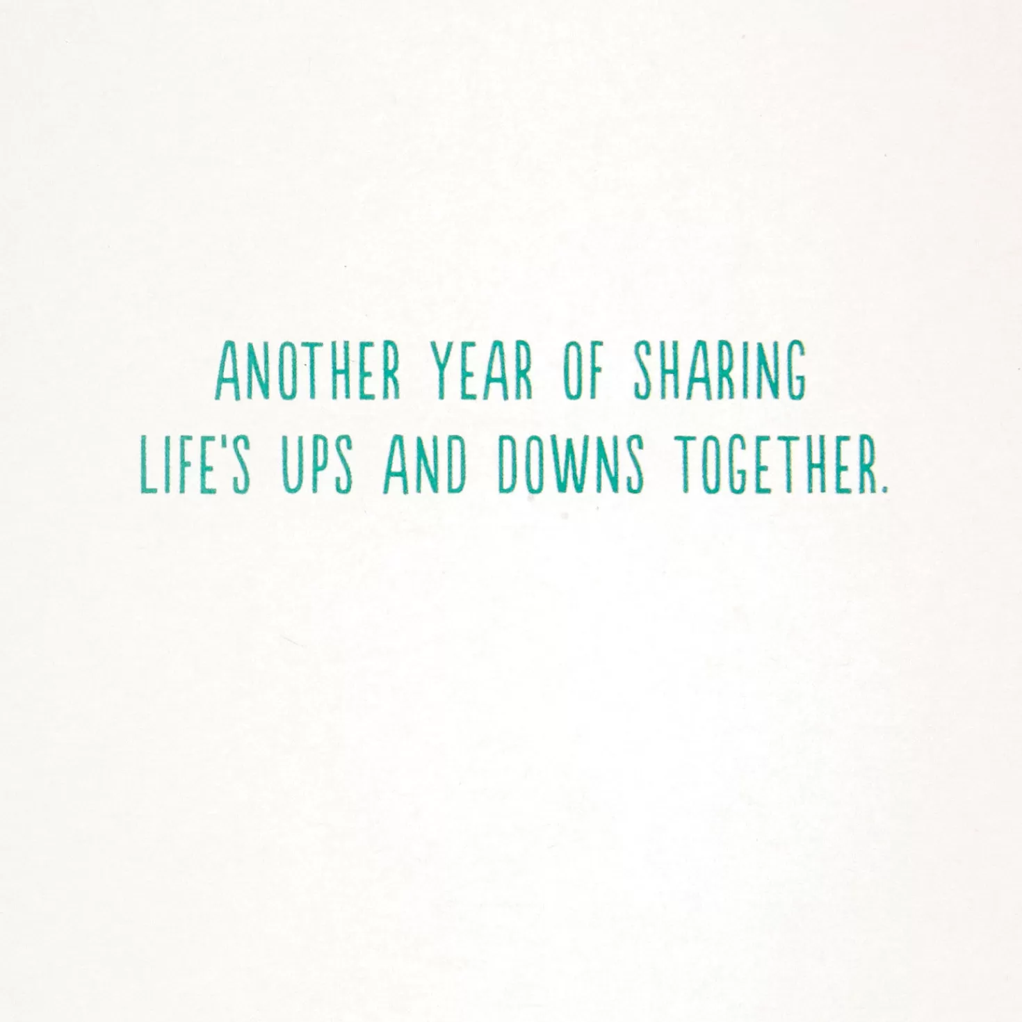 Anniversary>Hallmark Life's Ups And Downs Funny Anniversary Card