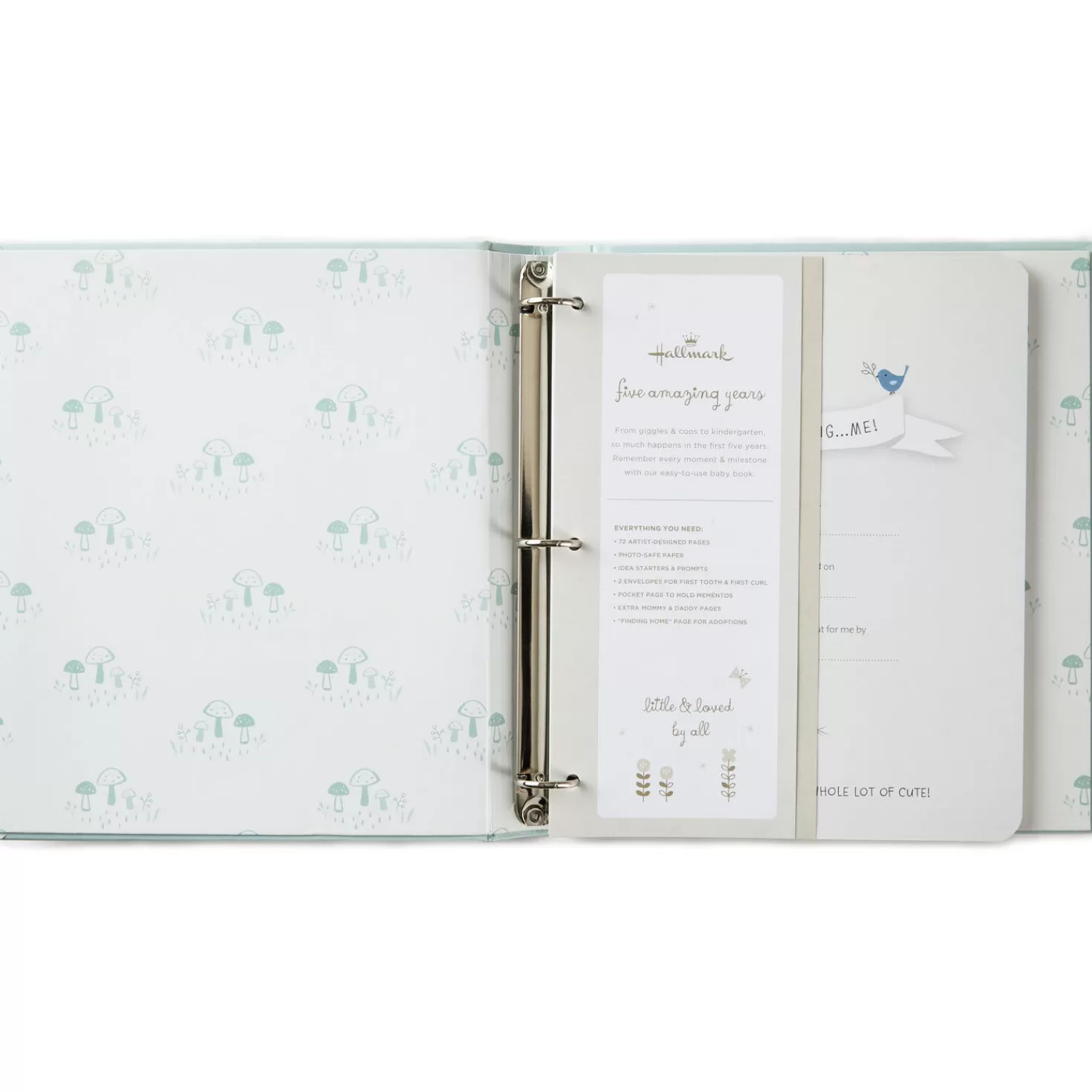 Clearance Little Blessings First Five Years Baby Book Baptism And Christening