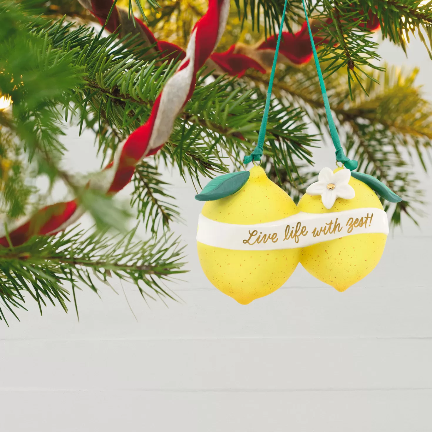Hot Live Life With Zest! Porcelain Ornament Retirement