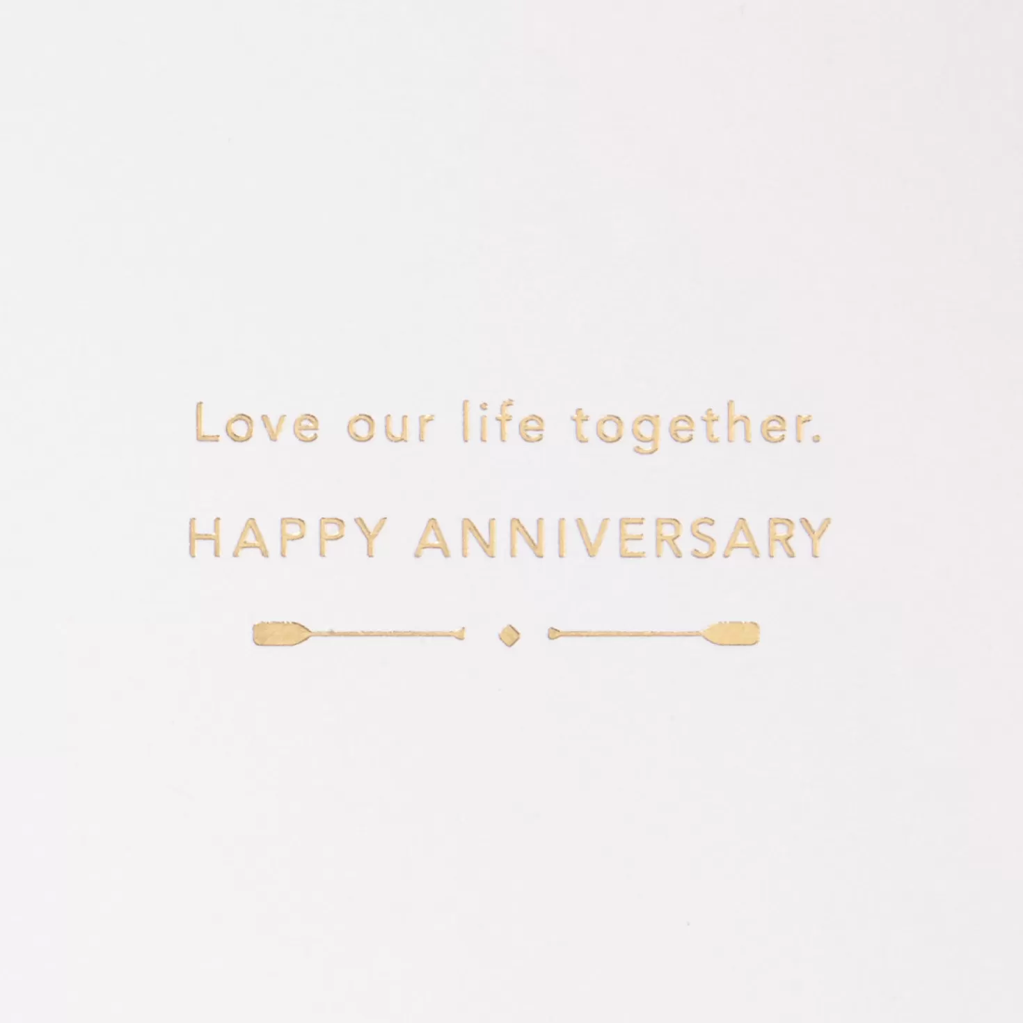 Anniversary>Hallmark Love Our Life Together Boat Oars Anniversary Card