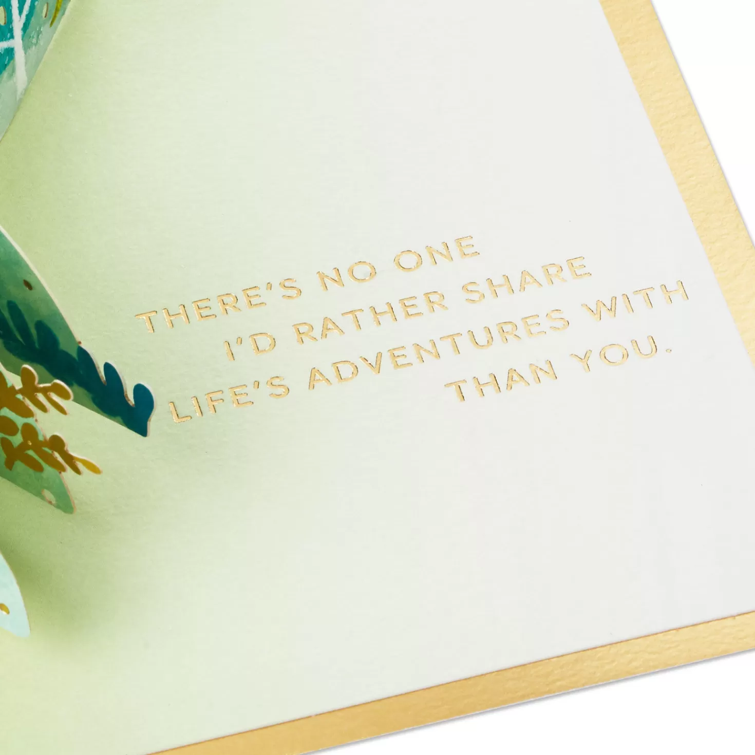 Anniversary>Hallmark Love Sharing Life's Adventure With You 3D Pop-Up Love Card