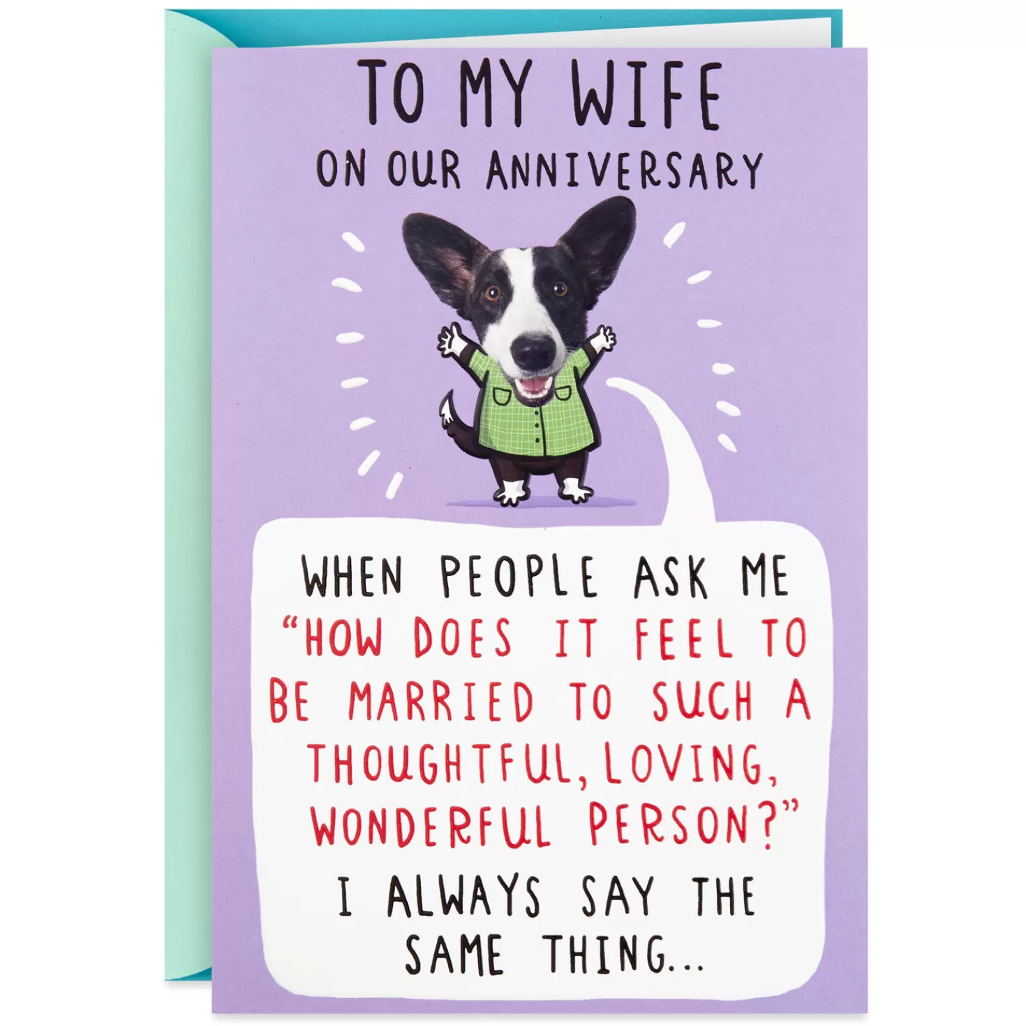 Anniversary>Hallmark Married To A Wonderful Person Funny Anniversary Card For Wife