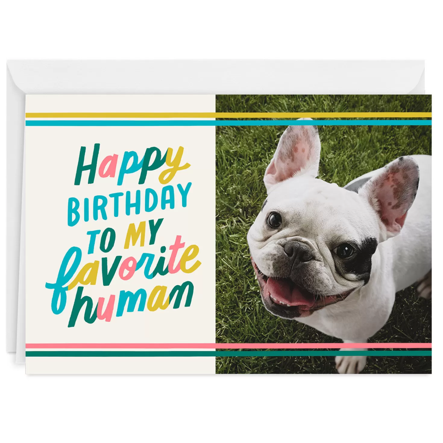 Cheap My Favorite Human Folded Celebration Photo Card Congratulations