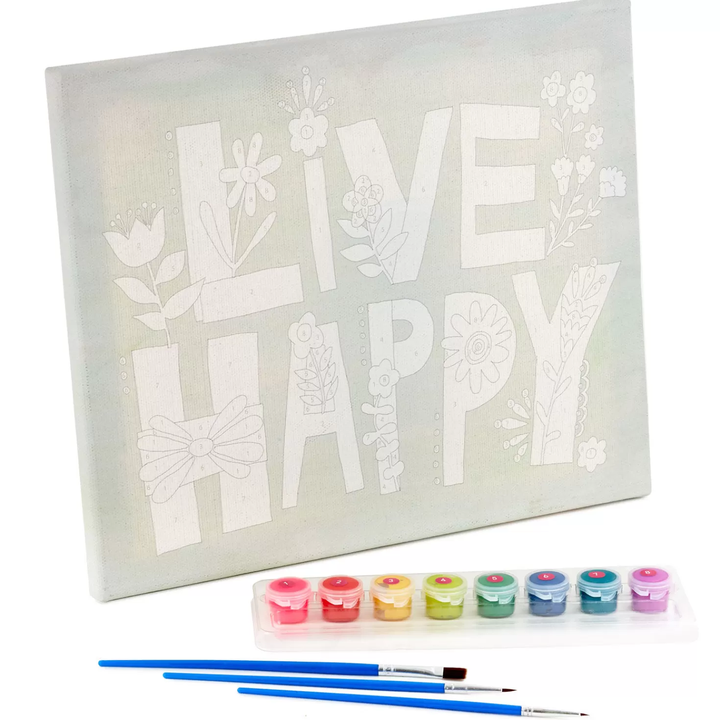 Fashion Natural Life Live Happy Paint By Number Wrapped Canvas Kit, 12X10 Encouragement